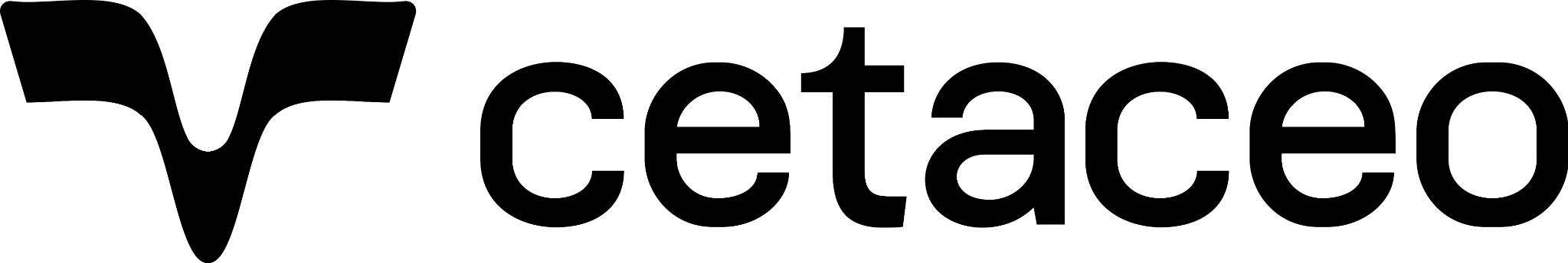 CetaCEO